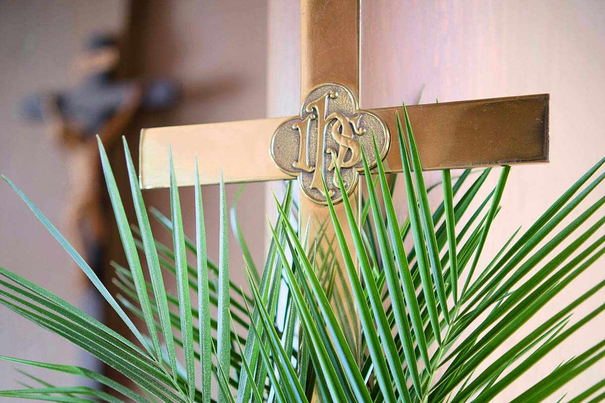 Palm Sunday Explained: Why Jesus Turned the Tables During Holy Week